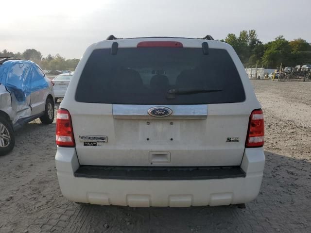 2010 Ford Escape Limited
