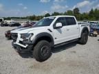 2019 Ford F150 Raptor