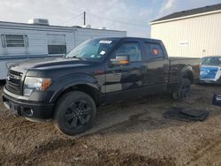 Salvage cars for sale from Copart Portland, MI: 2013 Ford F150 Supercrew