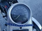 2003 Harley-Davidson Flstf