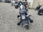 2019 Moto Guzzi V7 III