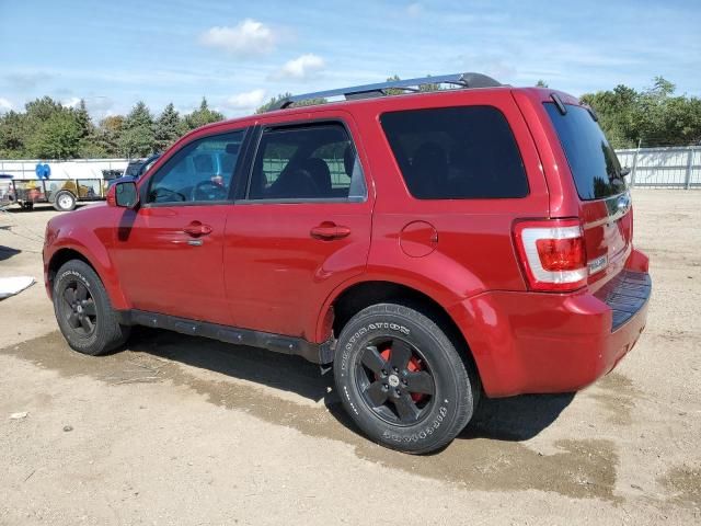 2011 Ford Escape Limited
