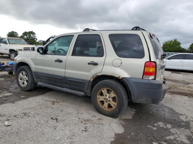 2006 Ford Escape XLT