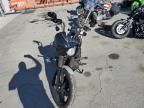 2024 Harley-Davidson Fxbbs