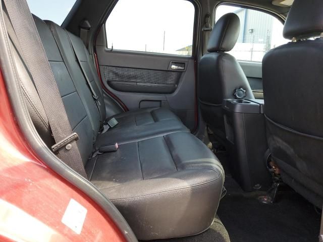 2011 Ford Escape Limited
