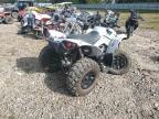 2024 Can-Am Renegade 650