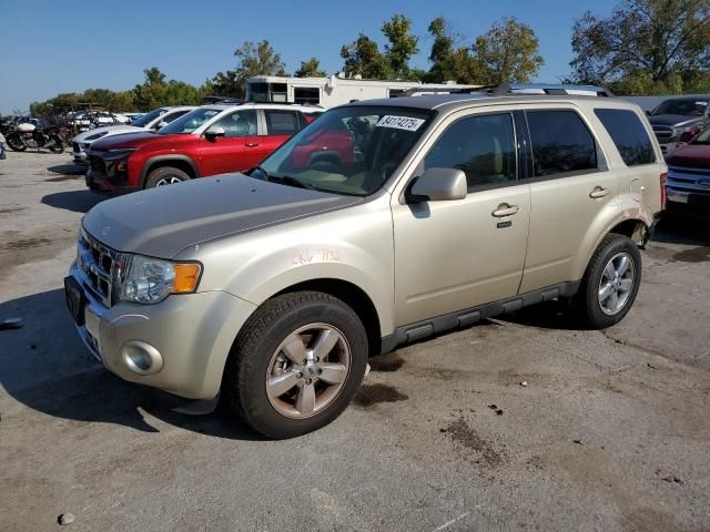 2011 Ford Escape Limited