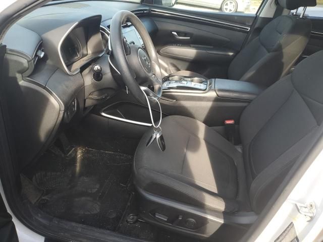 2022 Hyundai Tucson Blue