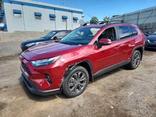 2025 Toyota Rav4 XLE Premium