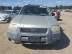 2003 Ford Escape XLT