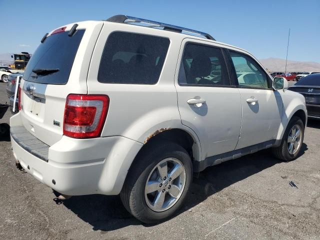 2011 Ford Escape Limited