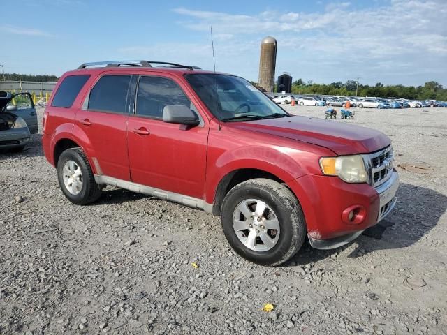 2010 Ford Escape Limited