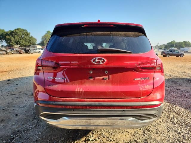 2023 Hyundai Santa fe sel Premium