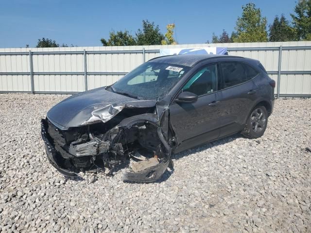 2025 Ford Escape ST Line