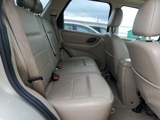 2006 Ford Escape XLT