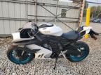 2025 Cf Moto 675SS