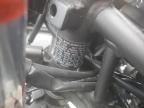2024 Kawasaki EX500 H