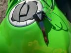 2025 Kawasaki EX650 P