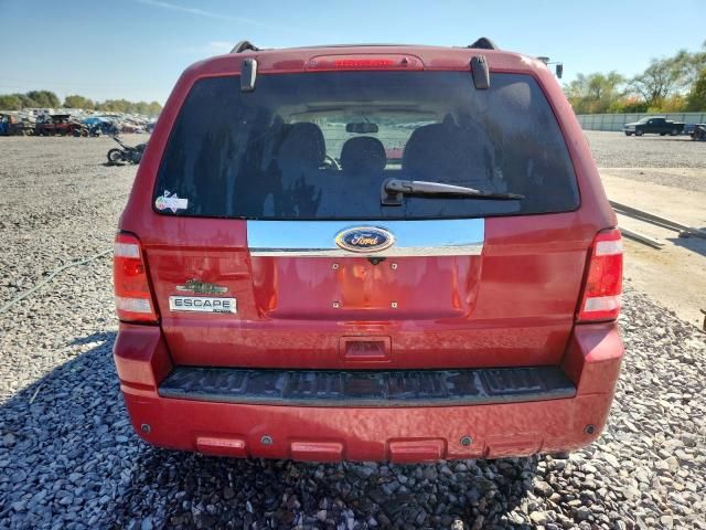 2010 Ford Escape Limited