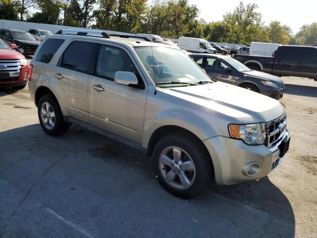 2011 Ford Escape Limited