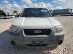 2006 Ford Escape xls