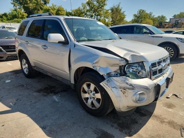 2010 Ford Escape Limited