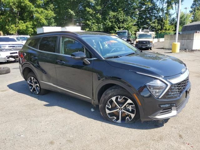 2025 KIA Sportage ex