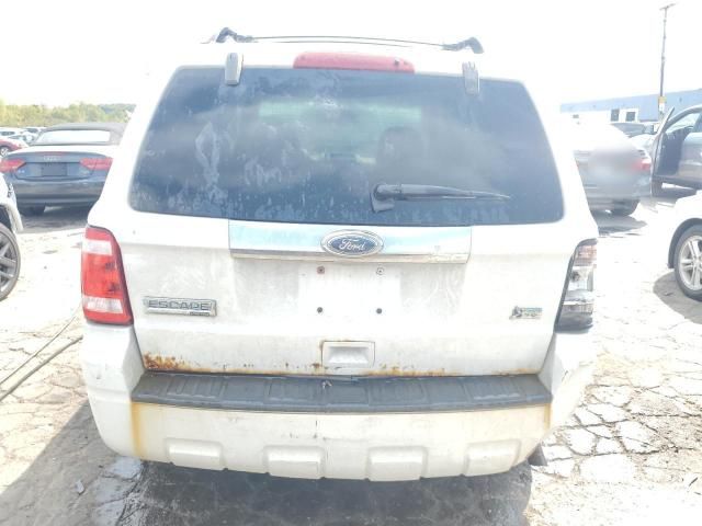 2010 Ford Escape Limited