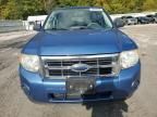2009 Ford Escape XLS