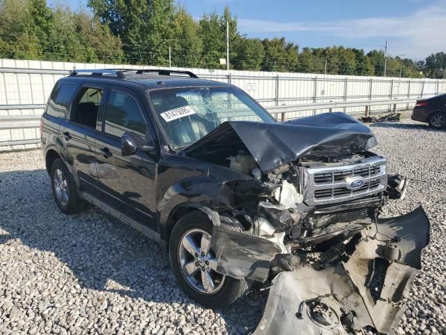 2011 Ford Escape Limited