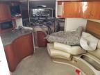 2001 Doral Bowrider