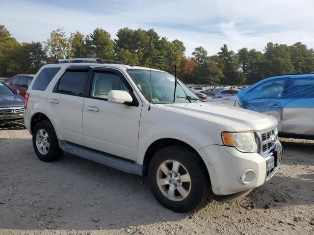 2010 Ford Escape Limited