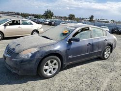 2009 Nissan Altima Hybrid for sale in Antelope, CA