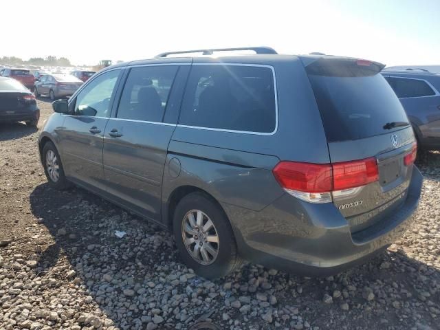 2008 Honda Odyssey EXL