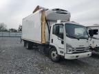 2023 Isuzu NQR