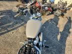 2024 Harley-Davidson Fxst
