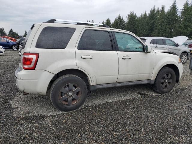 2009 Ford Escape Limited