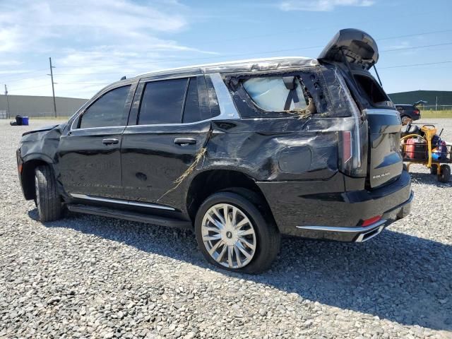 2024 Cadillac Escalade Premium Luxury
