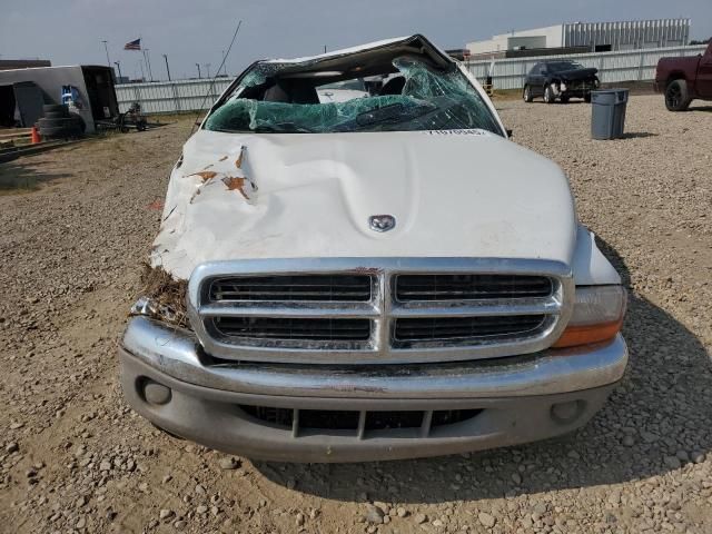1998 Dodge Dakota