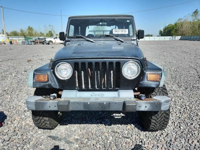 1998 Jeep Wrangler / tj se