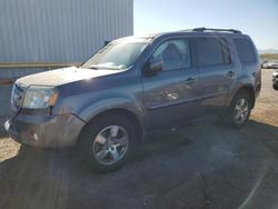 Honda Pilot salvage cars for sale: 2011 Honda Pilot Exln