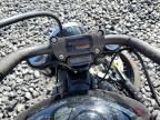 2019 Harley-Davidson Fxbb