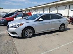 Hyundai salvage cars for sale: 2016 Hyundai Sonata Hybrid