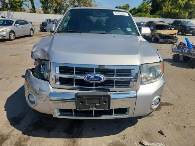 2010 Ford Escape Limited