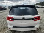 2024 Honda Odyssey exl