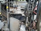 2020 Other 2020 Appleton Steel Livestock Squeeze Chute
