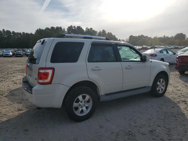 2010 Ford Escape Limited