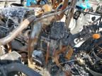 2023 New Holland Workmaster 75