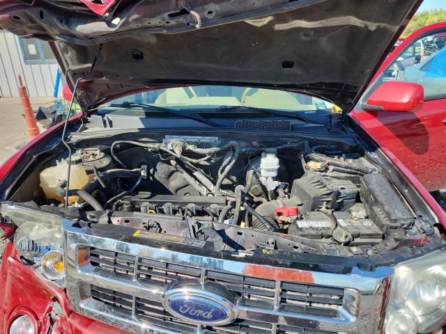 2010 Ford Escape Limited