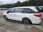 2024 Honda Odyssey exl